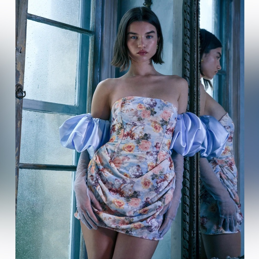 NWT Delphine dress